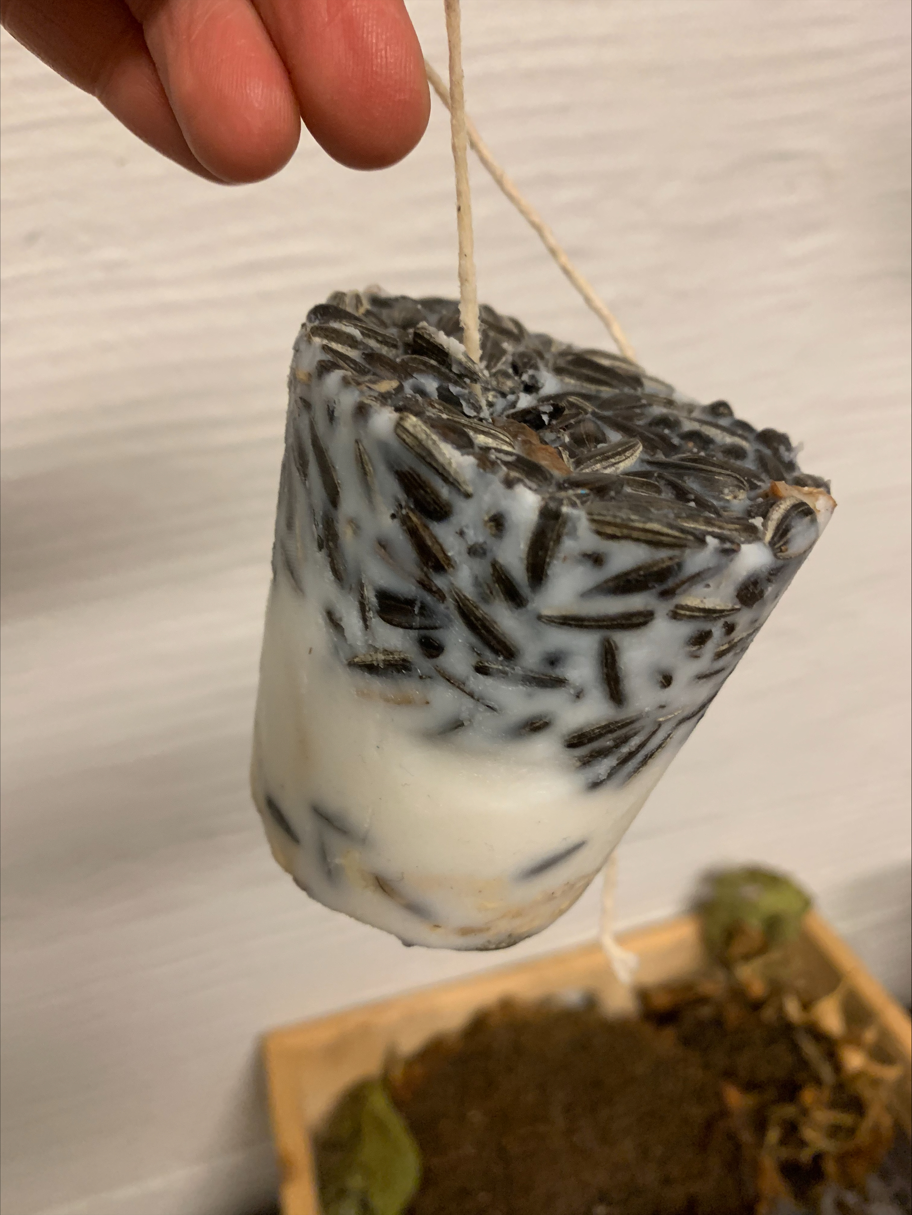 Vi har laget fuglemat