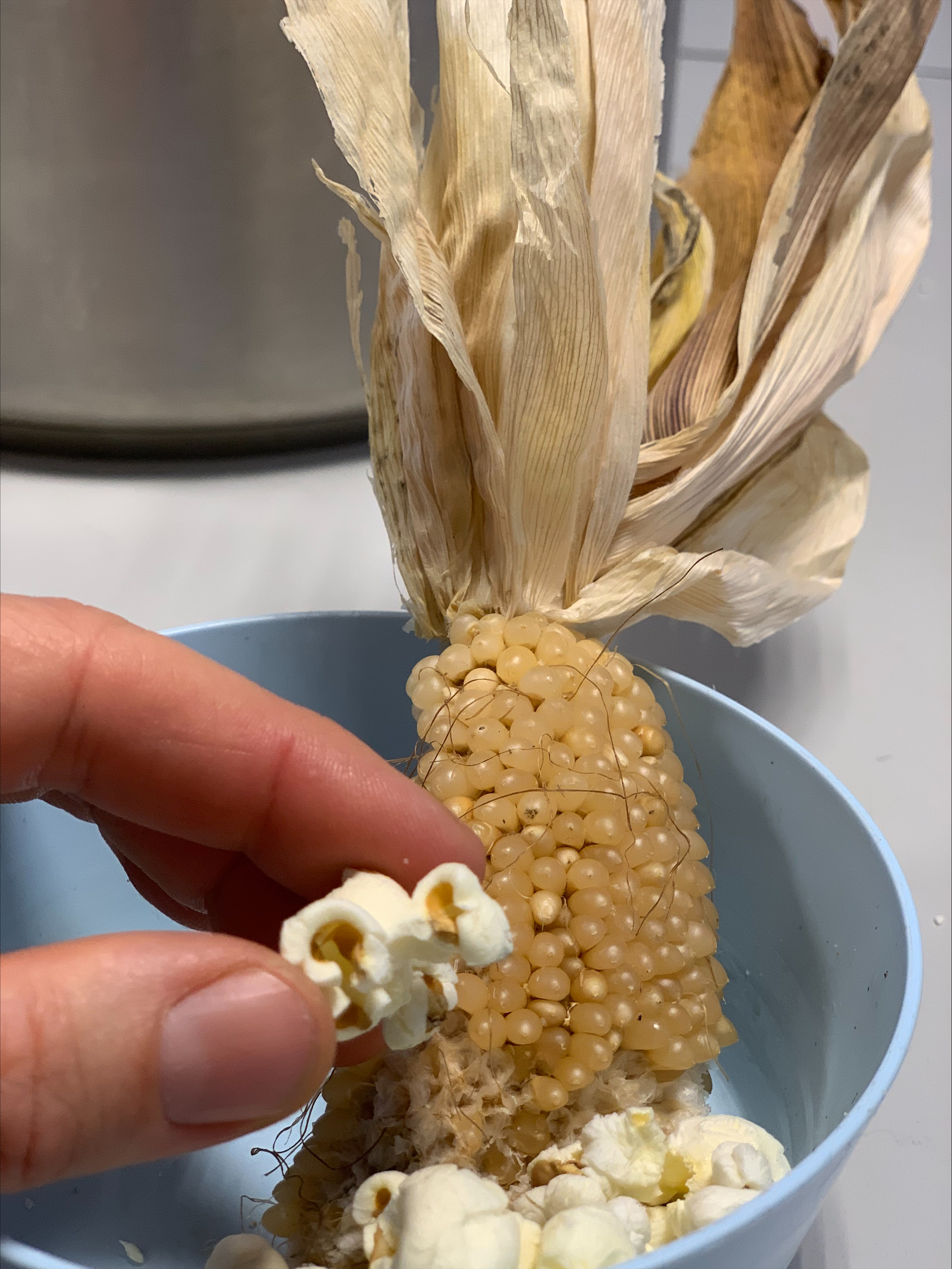 Vi har laget popcorn med mais fra skolehagen